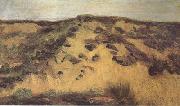 Vincent Van Gogh Dunes(nn04) oil painting artist